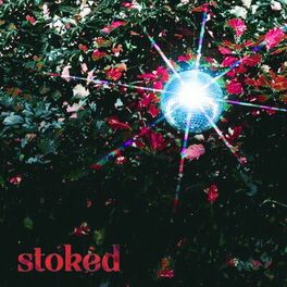 Album cover of Stoked