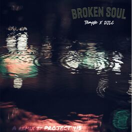Album cover of Broken Soul (feat. DJLC) [Remix]