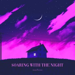 Album cover of soaring with the night