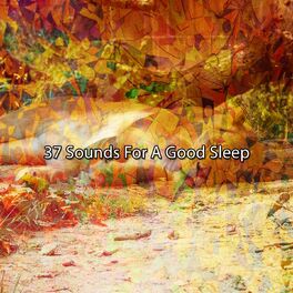 Album cover of 37 Sounds For A Good Sleep