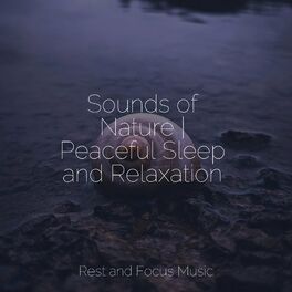 Album cover of Sounds of Nature | Peaceful Sleep and Relaxation