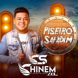 Album cover of Piseiro do Safadim