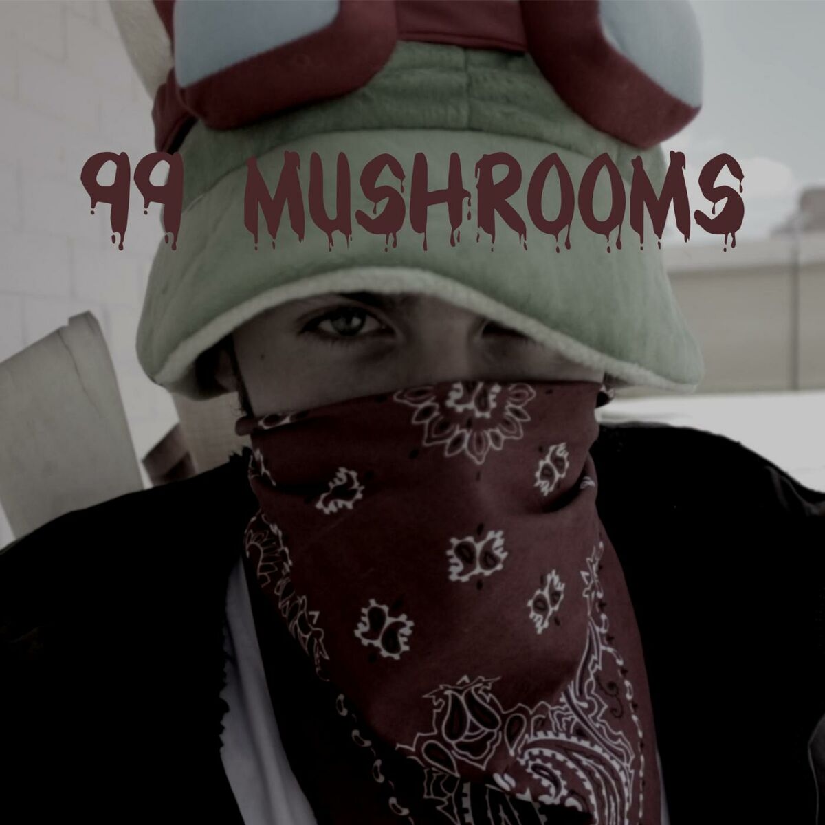 NerdBallerTV - 99 Mushrooms (feat. Jesse Chisholm): lyrics and songs |  Deezer