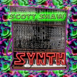 Album cover of Synth