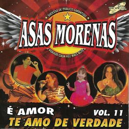 Album cover of É Amor, Vol. 11 (Te Amo de Verdade)