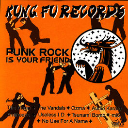 Album cover of Punk Rock Is Your Friend