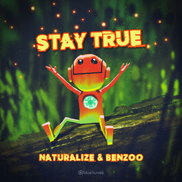 Album cover of Stay True