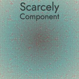 Album cover of Scarcely Component