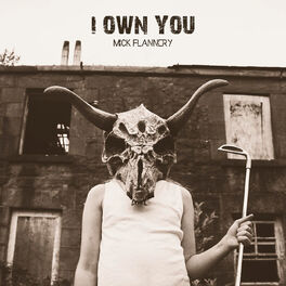 Album cover of I Own You