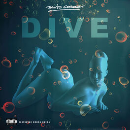 Album cover of Dive
