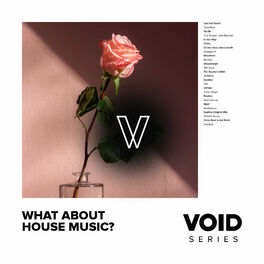 Album cover of VOID: What About House Music?