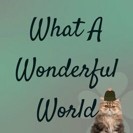 Album cover of What A Wonderful World