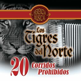 Album cover of 20 Corridos Prohibidos (Herencia Musical)