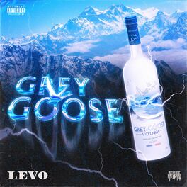 Album cover of Grey Goose