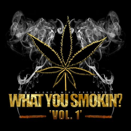 DJ Mighty Mike What You Smokin Vol.1 lyrics and songs Deezer