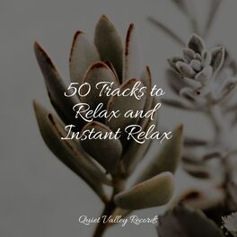 Album cover of 50 Tracks to Relax and Instant Relax