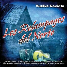 Album cover of Vuelve Gaviota