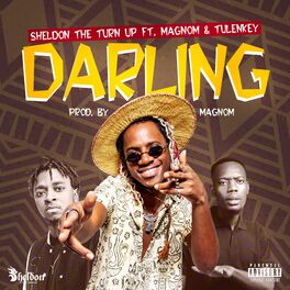 Album cover of Darling (feat. Magnom & Tulenkey)