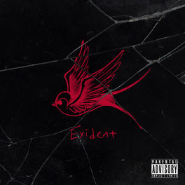 Album cover of Exident