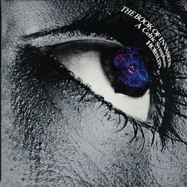 Album cover of The Book of Invasions (Bonus Tracks Version)