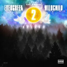 Album cover of Evergreen Wildchild 2 (Deluxe)