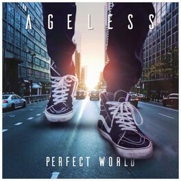 Album cover of Perfect World