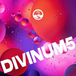Album cover of Divinum 5