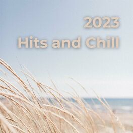 Album cover of 2023 Hits and Chill