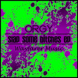 Album cover of Slap Some Bitches