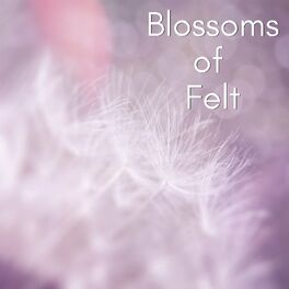 Album cover of Blossoms of Felt