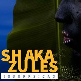 Album cover of Insurreição