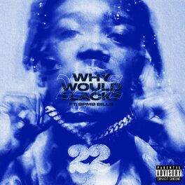 Album cover of Why Would I Lack? (feat. SPMB Bills)