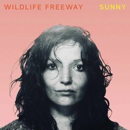 Album cover of Sunny