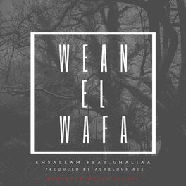 Album cover of Wean El Wafa