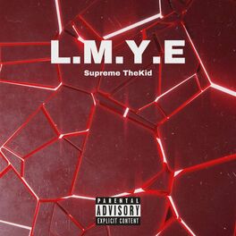 Album cover of L.M.Y.E