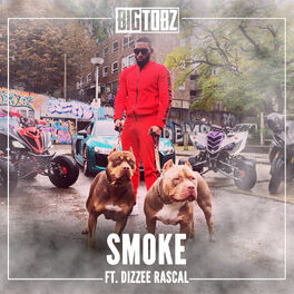 Album cover of Smoke (feat. Dizzee Rascal)