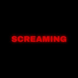 Album cover of Screaming (feat. ytpYasi & C1)