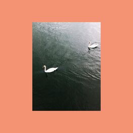 Album cover of You'll Never Walk Alone