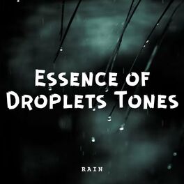 Album cover of Rain: Essence of Droplets Tones