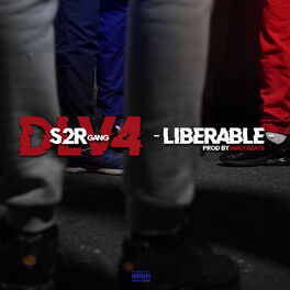Album picture of DLV #4 Libérable (prod by Waly Beats)