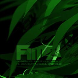 Album cover of Forest Mallet / Bug Buzz