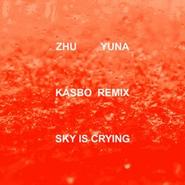 Album cover of Sky Is Crying (Kasbo Remix)