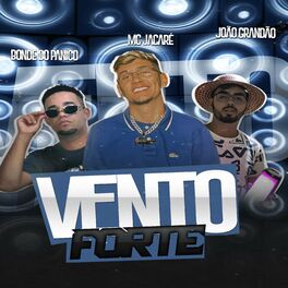 Album cover of Vento Forte (Arrochadeira)