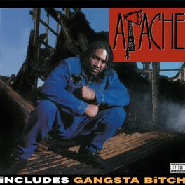 Album cover of Apache Ain't Shit
