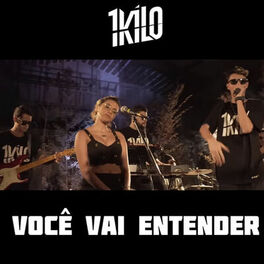 Album cover of Você Vai Entender
