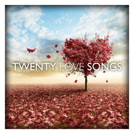 Album cover of Twenty Love Songs