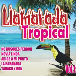 Album cover of Llamarada Tropical, Vol. 1