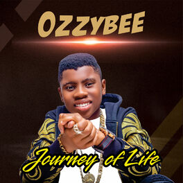 Album cover of Journey of Life