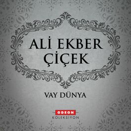 Album cover of Vay Dünya