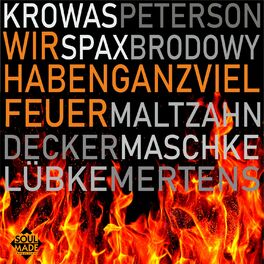 Album cover of Wir haben ganz viel Feuer (We Didn't Start the Fire)